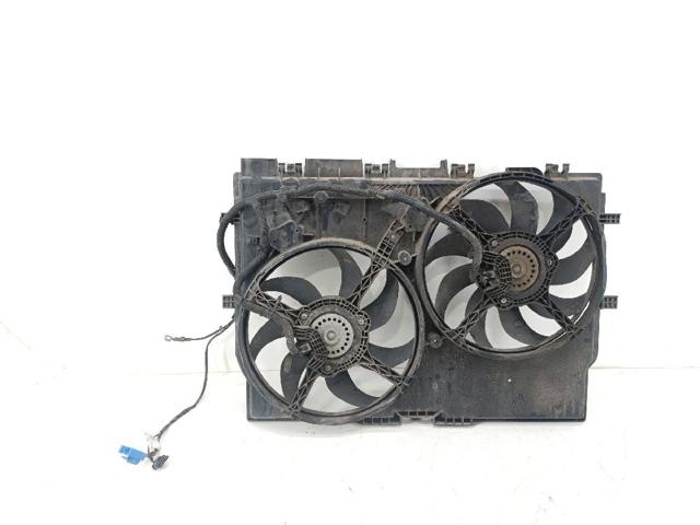 1379297080 Peugeot/Citroen