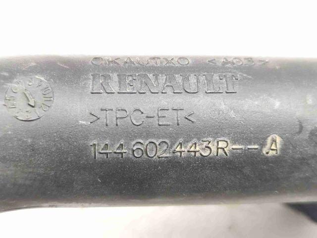 144602443R Nissan/Infiniti