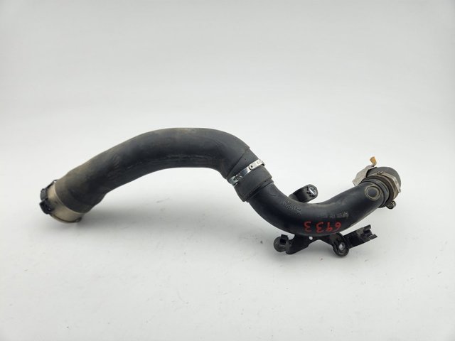 Mangueira (cano derivado) de intercooler 144607476R RENAULT