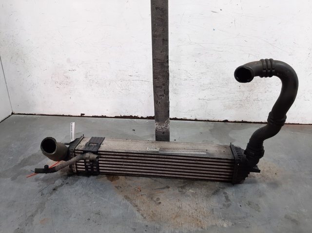 144960001R Renault (RVI)