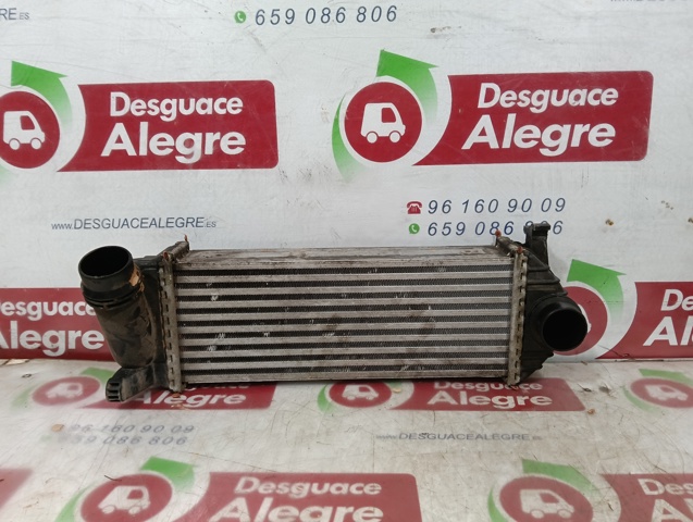 144963234R Renault (RVI)