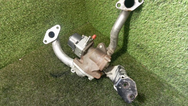 Válvula EGR de recirculação dos gases 147102W20A NISSAN
