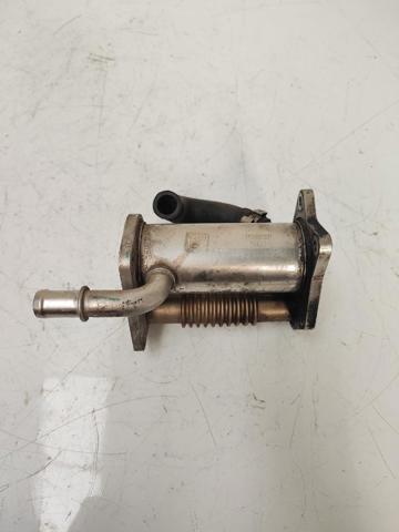 147356133R Renault (RVI)