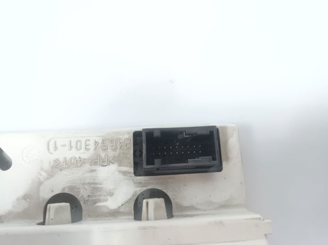 1495869077 Peugeot/Citroen