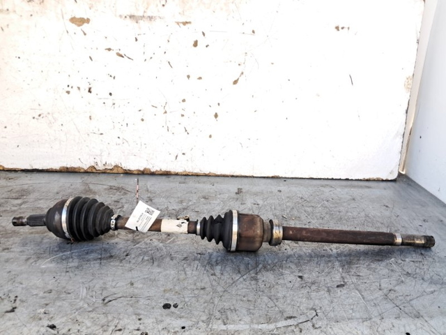 1497188088 Fiat/Alfa/Lancia