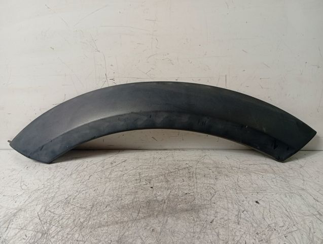 Expansor (placa sobreposta) de arco do pára-lama dianteiro esquerdo 1505867 BMW