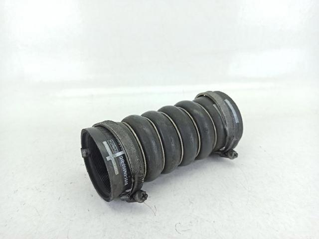 Mangueira (cano derivado) de intercooler 1547331 FORD