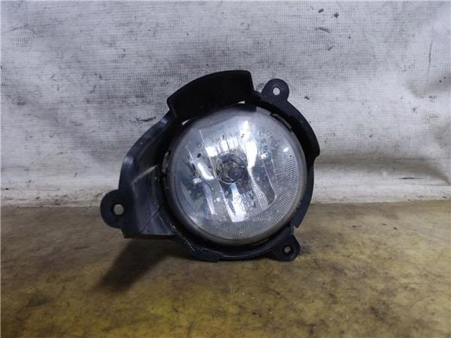 Luzes de nevoeiro esquerdas 15691 GM