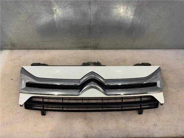 1608225180 Peugeot/Citroen