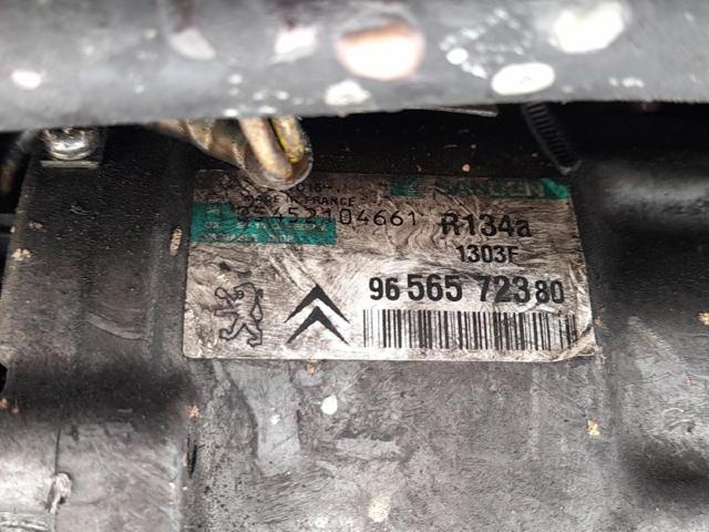 1608507980 Peugeot/Citroen
