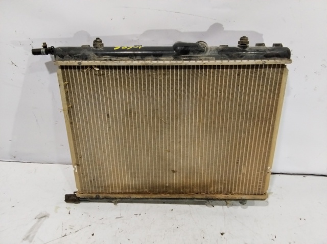 1610008180 Peugeot/Citroen