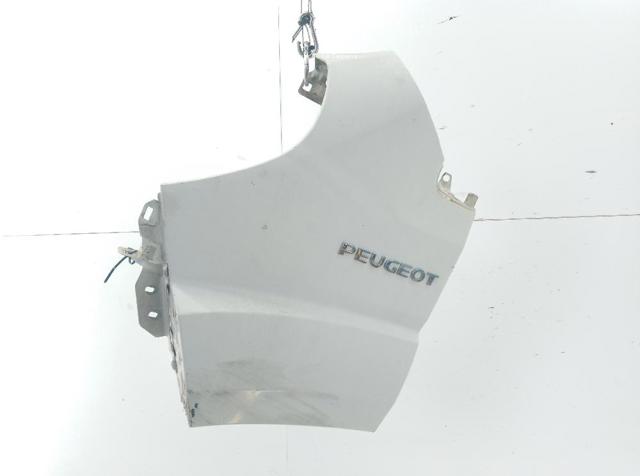 1610458580 Peugeot/Citroen