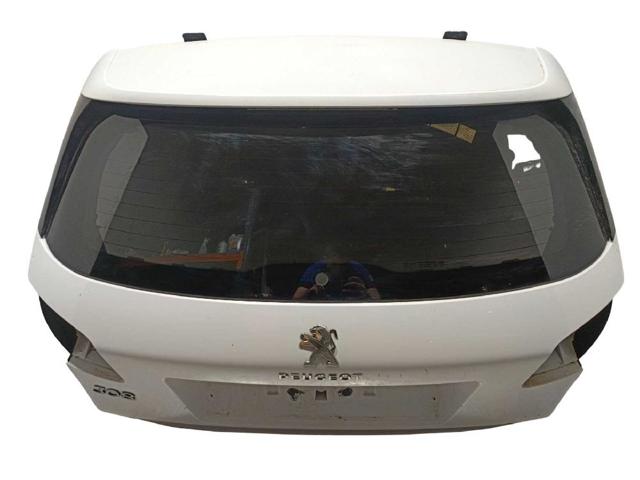 1610669880 Peugeot/Citroen