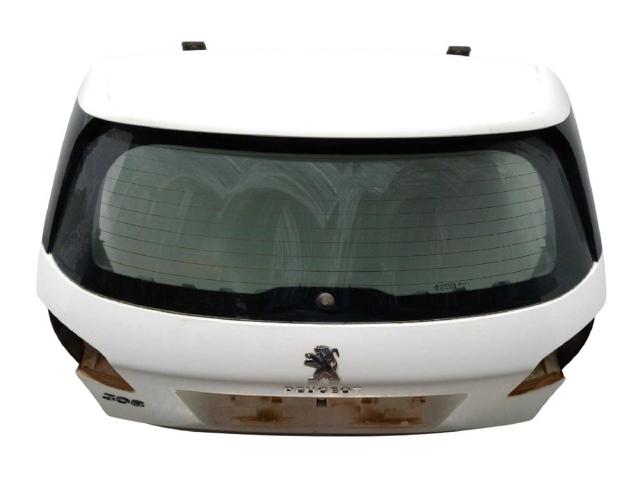 1610669880 Peugeot/Citroen