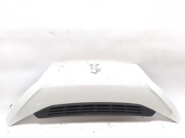 1612246980 Peugeot/Citroen