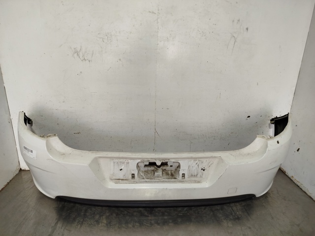1613360480 Peugeot/Citroen