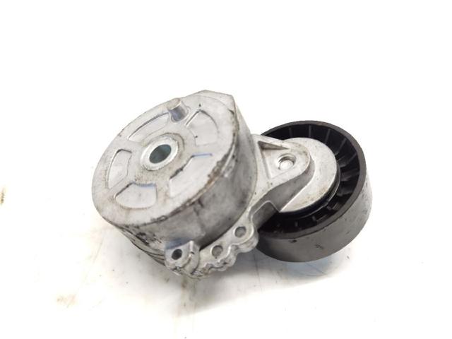 Reguladora de tensão da correia de transmissão 1613839980 PEUGEOT