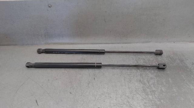 Amortecedor de tampa de porta-malas (de 3ª/5ª porta traseira) 1615071080 PEUGEOT