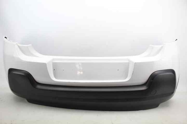 1618082980 Peugeot/Citroen