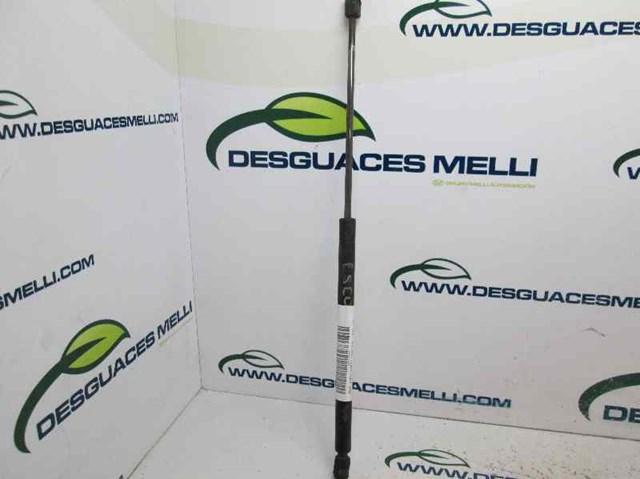 Amortecedor de tampa de porta-malas (de 3ª/5ª porta traseira) Ford Escort  AVF ao melhor preço