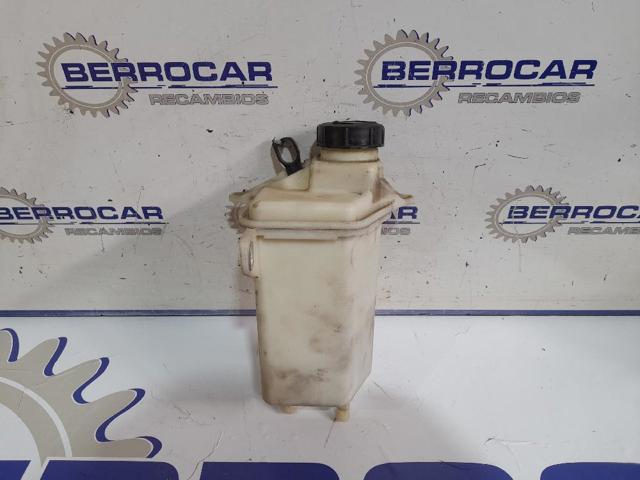Tanque de bomba da Direção hidrâulica assistida para Citroen Jumper 250