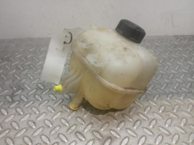Tanque de expansão do sistema de esfriamento 1710753926702 BMW