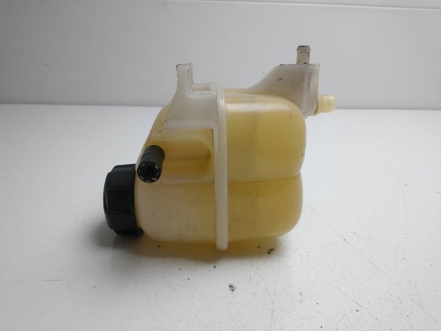 Tanque de expansão do sistema de esfriamento 1710753926702 BMW