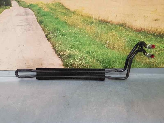 17113413195 BMW
