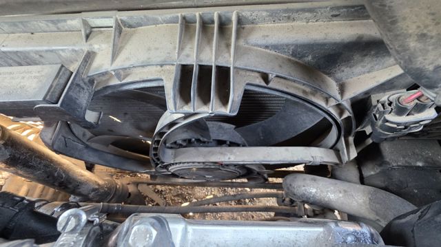 17113452509 BMW