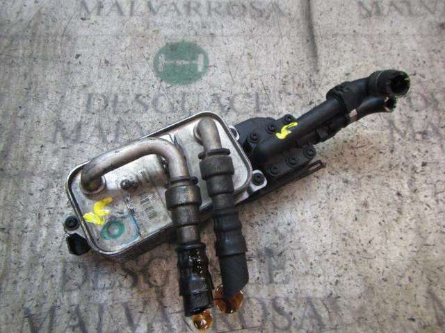 17217519213 BMW
