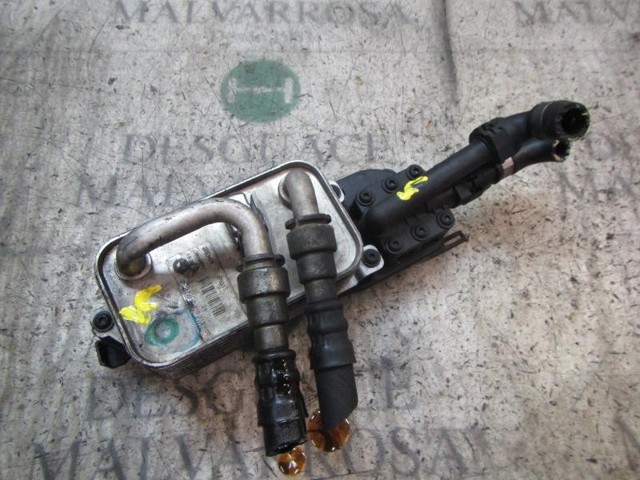 Radiador de óleo 17217519213 BMW