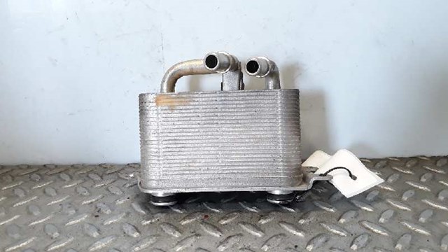 Radiador de esfriamento, Caixa Automática de Mudança 17217534896 BMW