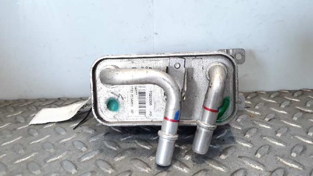 Radiador de esfriamento, Caixa Automática de Mudança 17217534896 BMW