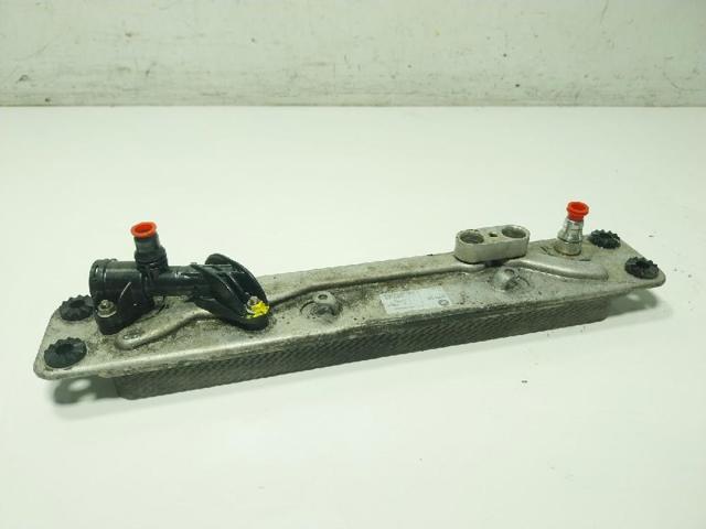 17217553389 BMW