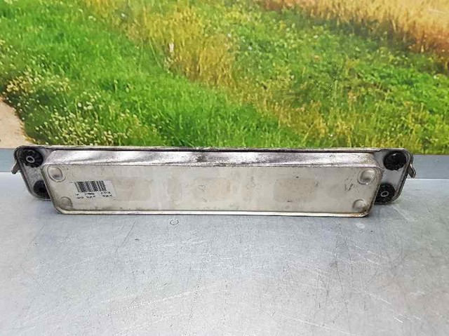 17217553389 BMW