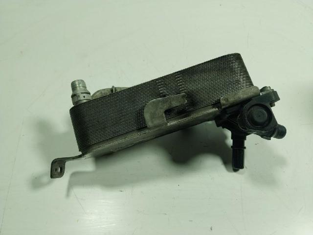 17217600553 BMW