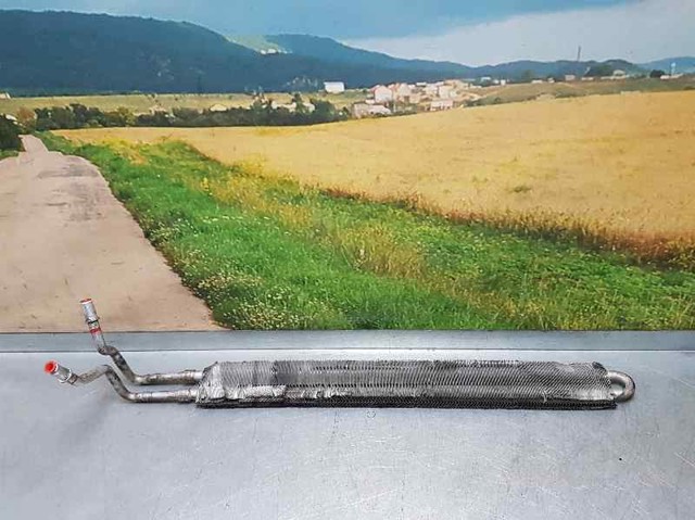 17217606348 BMW