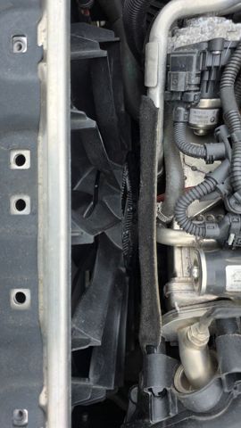 17428472268 BMW