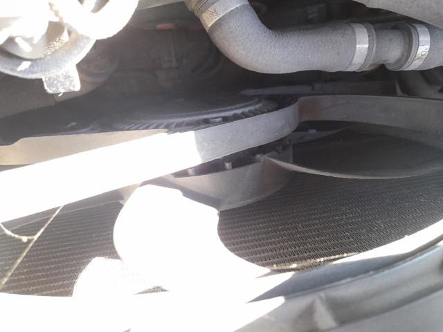 17428506668 BMW