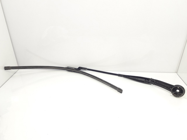 Comprar  Focus III CB8