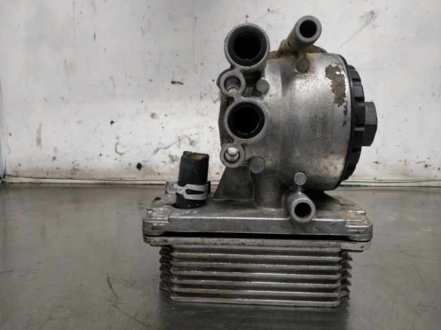 1C1Q6B624AF Ford