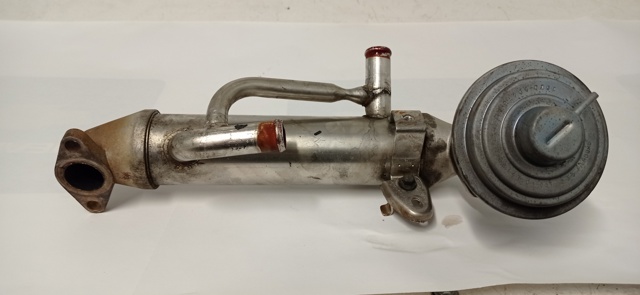 Radiador do sistema EGR de recirculação dos gases de escape 1C1Q9F464AE FORD