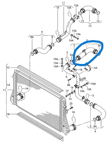 Mangueira (cano derivado) de intercooler 1K0145838C VAG