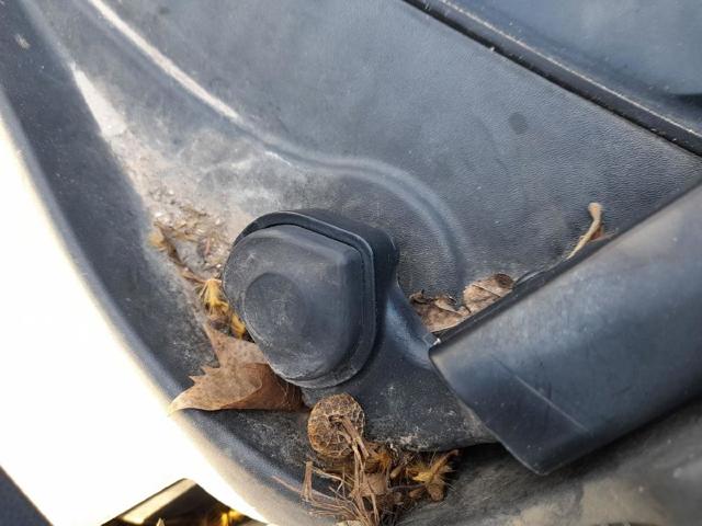 1P0955119A VAG