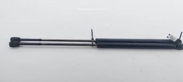 Amortecedor de tampa de porta-malas (de 3ª/5ª porta traseira) 1S71A406A10BC FORD