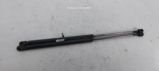 Amortecedor de tampa de porta-malas (de 3ª/5ª porta traseira) 1S71N406A10AB FORD