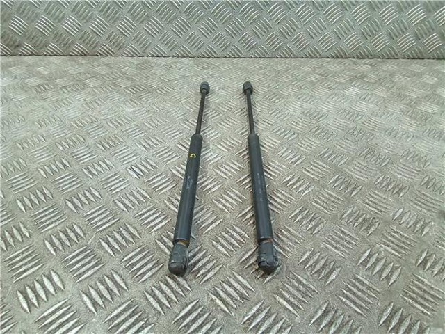 Amortecedor da capota 1X4316C826AC JAGUAR