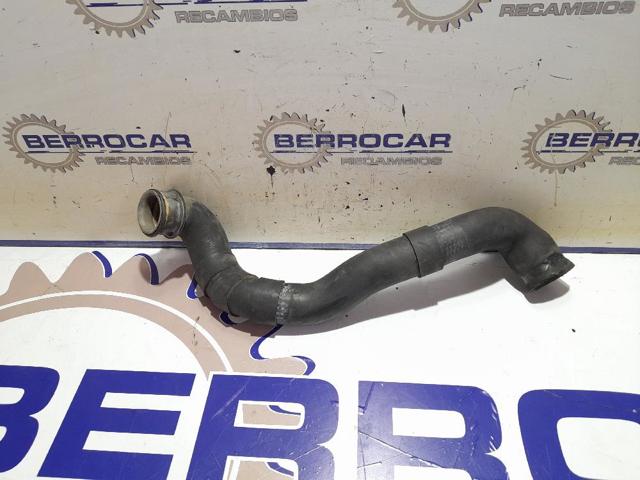 Mangueira (cano derivado) inferior do radiador de esfriamento 2035013882 MERCEDES