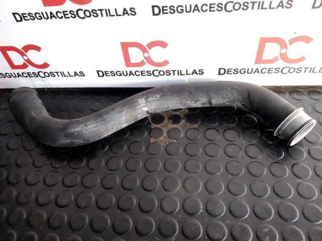 Mangueira (cano derivado) do radiador de esfriamento superior 2045010582 MERCEDES