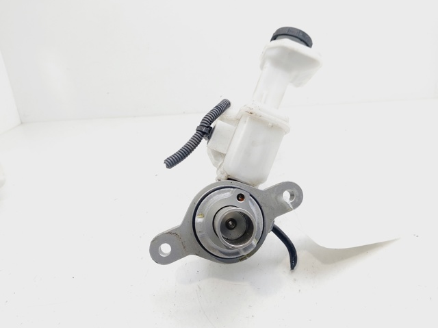 204790172 Renault (RVI)
